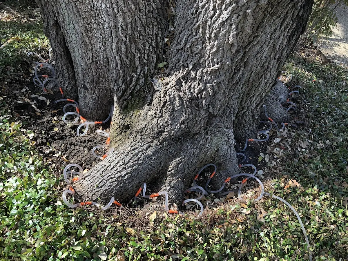Detailed Shrub and Hedge Trimming job site in Harvest